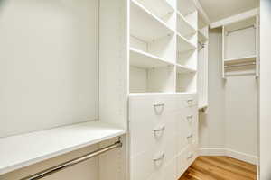 Spacious closet featuring light hardwood / wood-style floors