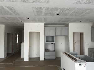 Kitchen with gray cabinets