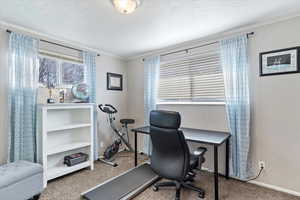 Home office featuring carpet and a textured ceiling