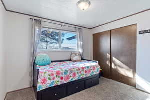 Carpeted bedroom with ornamental molding, a textured ceiling, and a closet