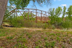 View of local wilderness