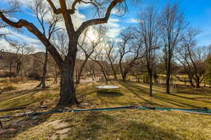 View of yard with a trampoline and a mountain view