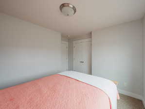 Carpeted bedroom featuring a closet