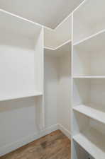 Spacious closet with wood-type flooring