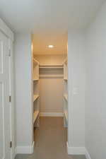 Walk in closet featuring light carpet