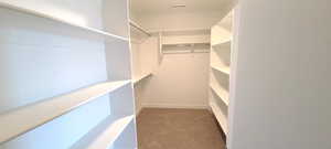 Walk in closet with carpet flooring