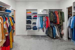 Spacious closet featuring carpet flooring