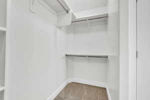 Walk in closet featuring carpet floors