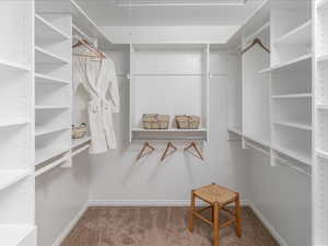 Spacious closet featuring carpet