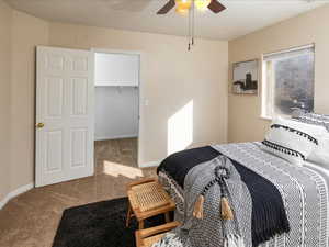 Carpeted bedroom with a walk in closet and ceiling fan