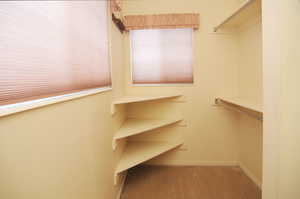 Walk in closet with light colored carpet