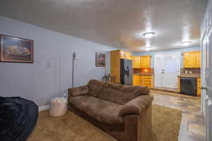 Living room with a textured ceiling