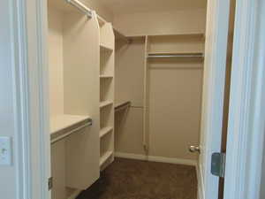 Spacious closet with dark colored carpet