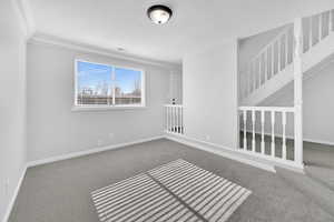 Spare room with crown molding and carpet flooring