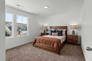 Bedroom featuring carpet floors and a textured ceiling