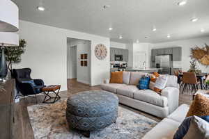 Living room with dark wood-type flooring, sink, and a textured ceiling