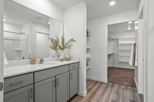 Bathroom with vanity and wood-type flooring