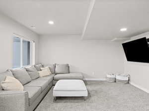 Living room with carpet