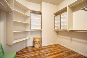 Walk in closet with wood-type flooring