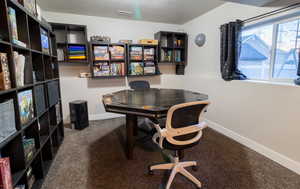 Office/family/game/exercise room