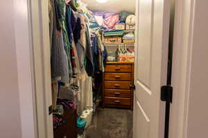 Walk-in closet in master bedroom