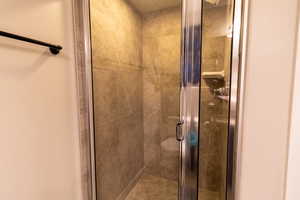 Basement bathroom with walk in shower