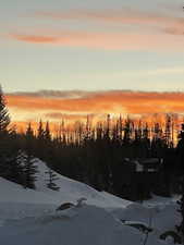 View of snowy landscape