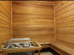 View of sauna featuring tile patterned floors