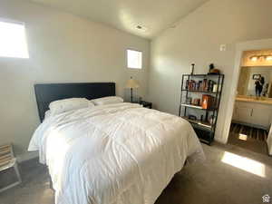 Carpeted bedroom with vaulted ceiling and ensuite bath