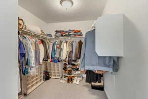 Walk in closet with carpet floors