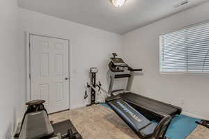 Exercise area featuring light colored carpet