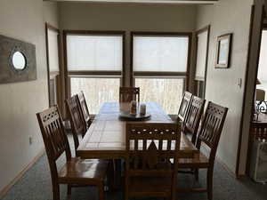 Carpeted dining room featuring a wealth of natural light