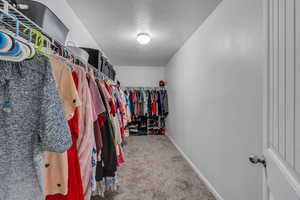 Walk in closet with carpet flooring