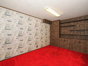 Basement with carpet