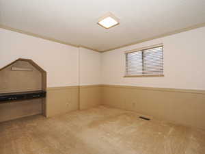 Basement with light colored carpet and a textured ceiling