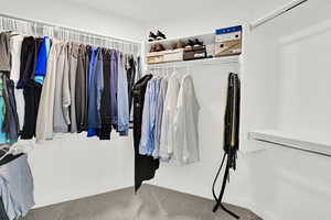 Spacious closet with carpet