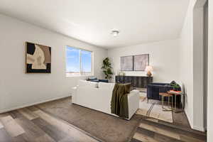 Living room featuring wood-type flooring