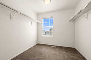 Walk in closet with carpet floors