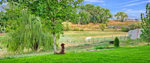 View of yard featuring a rural view