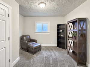 Living area featuring carpet flooring and a textured ceiling