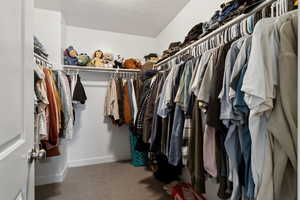 Walk in closet featuring carpet flooring