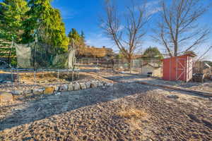 View of yard with a trampoline and a storage unit