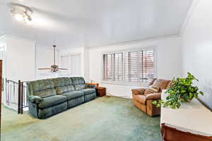 Living room featuring ceiling fan, ornamental molding, and carpet floors