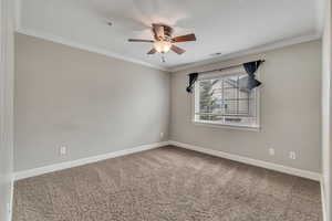 Carpeted empty room featuring ceiling fan, ornamental molding, and a textured ceiling