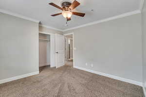 Unfurnished bedroom with ceiling fan, ornamental molding, carpet floors, and a closet