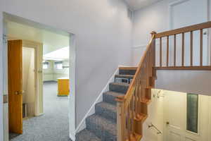 Stairs featuring carpet flooring