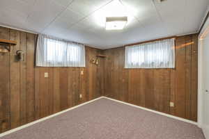 Spare room with a healthy amount of sunlight, carpet flooring, and wood walls