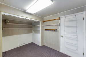 Spacious closet featuring dark carpet