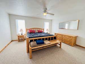 Carpeted bedroom featuring multiple windows, ceiling fan, and a textured ceiling