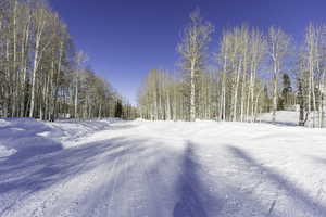 View of snowy yard